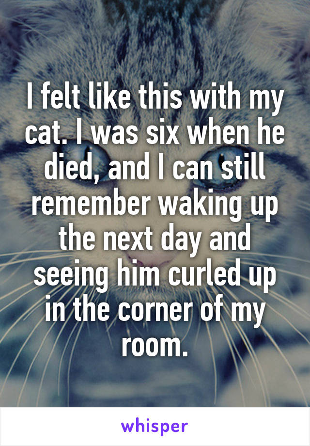 I felt like this with my cat. I was six when he died, and I can still remember waking up the next day and seeing him curled up in the corner of my room.