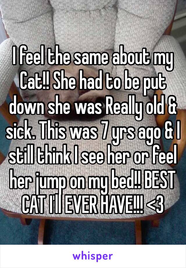 I feel the same about my Cat!! She had to be put down she was Really old & sick. This was 7 yrs ago & I still think I see her or feel her jump on my bed!! BEST CAT I'll EVER HAVE!!! <3