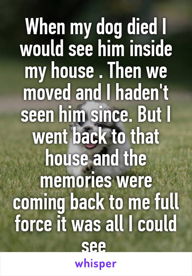 When my dog died I would see him inside my house . Then we moved and I haden't seen him since. But I went back to that house and the memories were coming back to me full force it was all I could see 