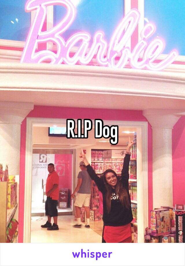 R.I.P Dog