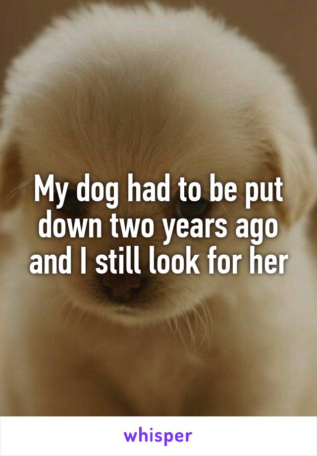 My dog had to be put down two years ago and I still look for her