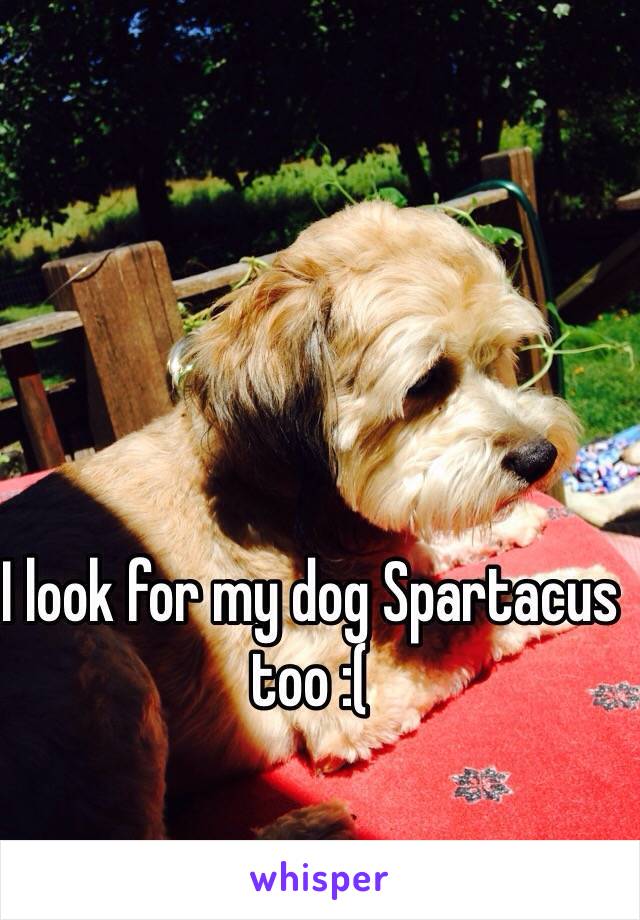 I look for my dog Spartacus too :(