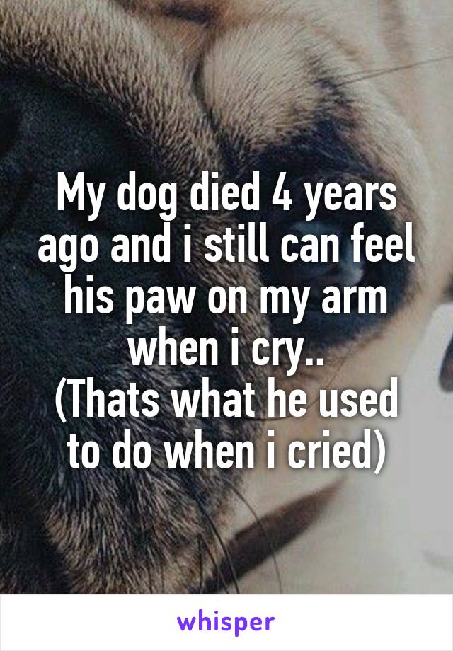 My dog died 4 years ago and i still can feel his paw on my arm when i cry..
(Thats what he used to do when i cried)