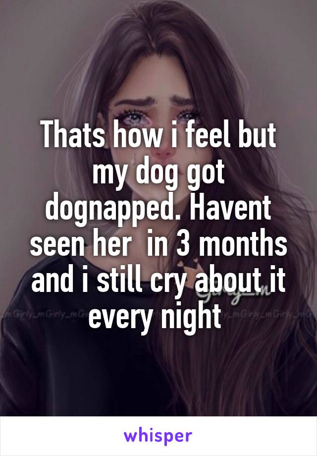 Thats how i feel but my dog got dognapped. Havent seen her  in 3 months and i still cry about it every night 