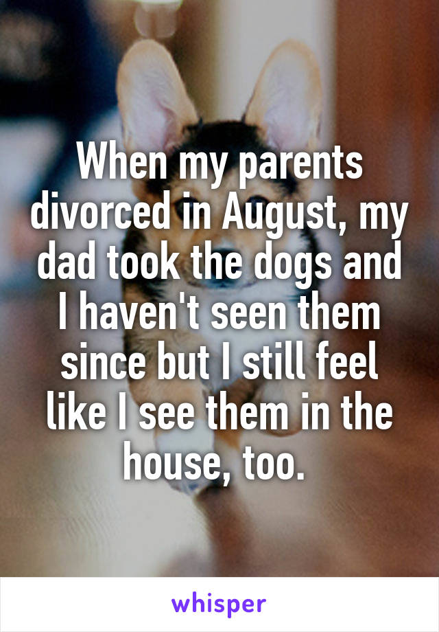 When my parents divorced in August, my dad took the dogs and I haven't seen them since but I still feel like I see them in the house, too. 