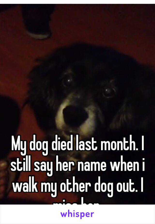 My dog died last month. I still say her name when i walk my other dog out. I miss her.