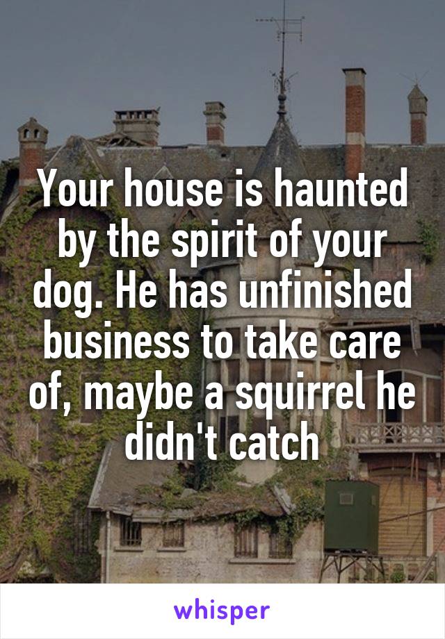 Your house is haunted by the spirit of your dog. He has unfinished business to take care of, maybe a squirrel he didn't catch