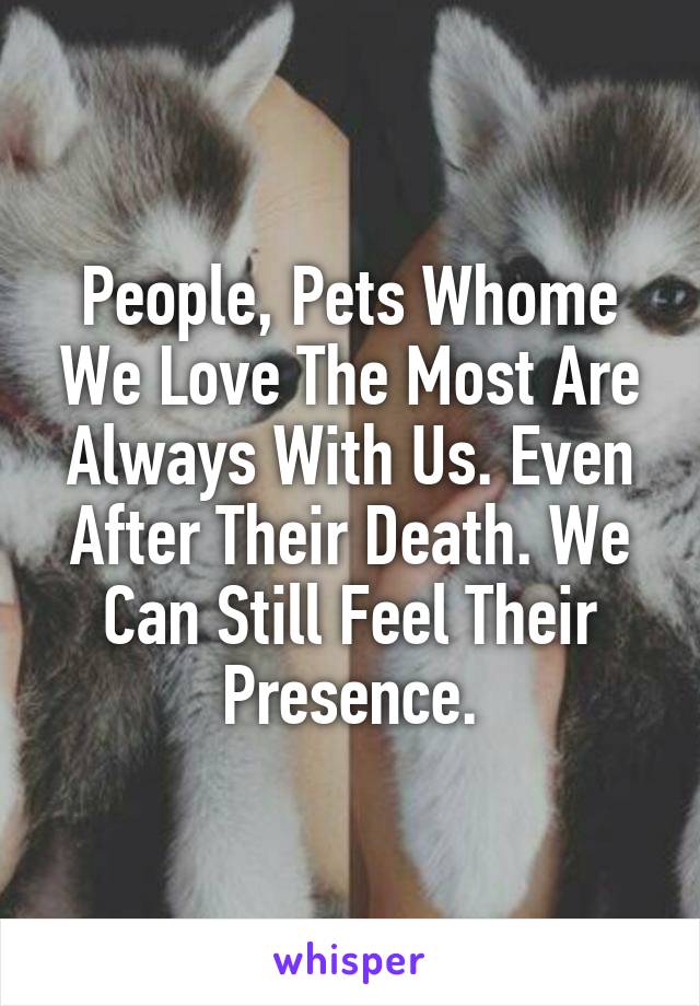 People, Pets Whome We Love The Most Are Always With Us. Even After Their Death. We Can Still Feel Their Presence.