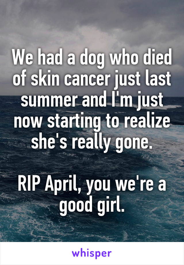 We had a dog who died of skin cancer just last summer and I'm just now starting to realize she's really gone.

RIP April, you we're a good girl.