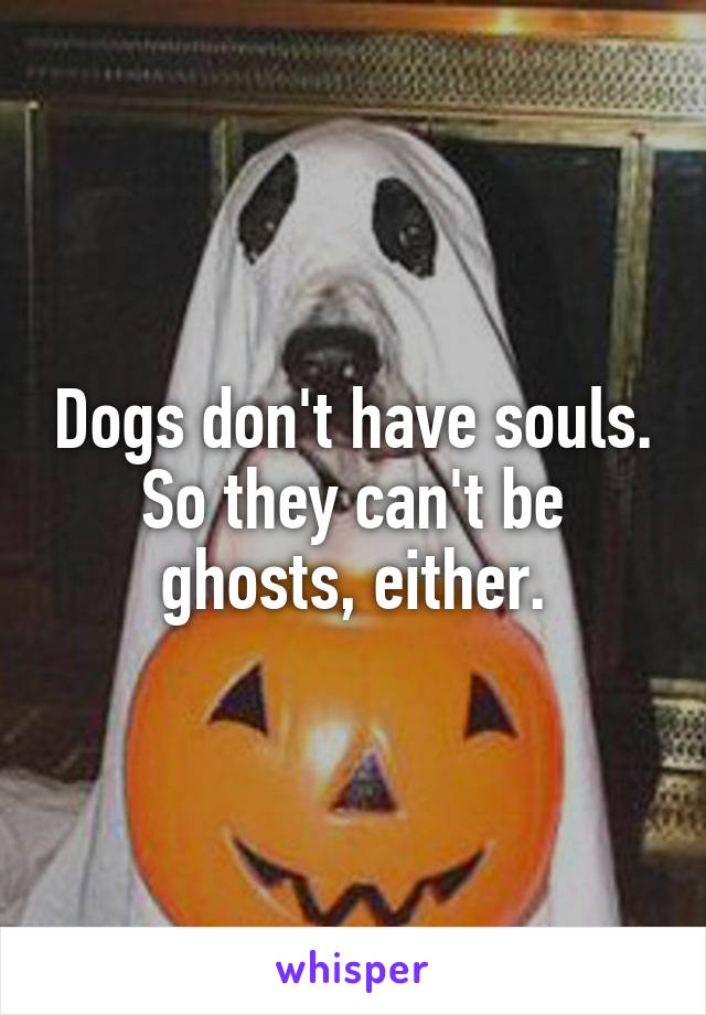 Dogs don't have souls.
So they can't be ghosts, either.