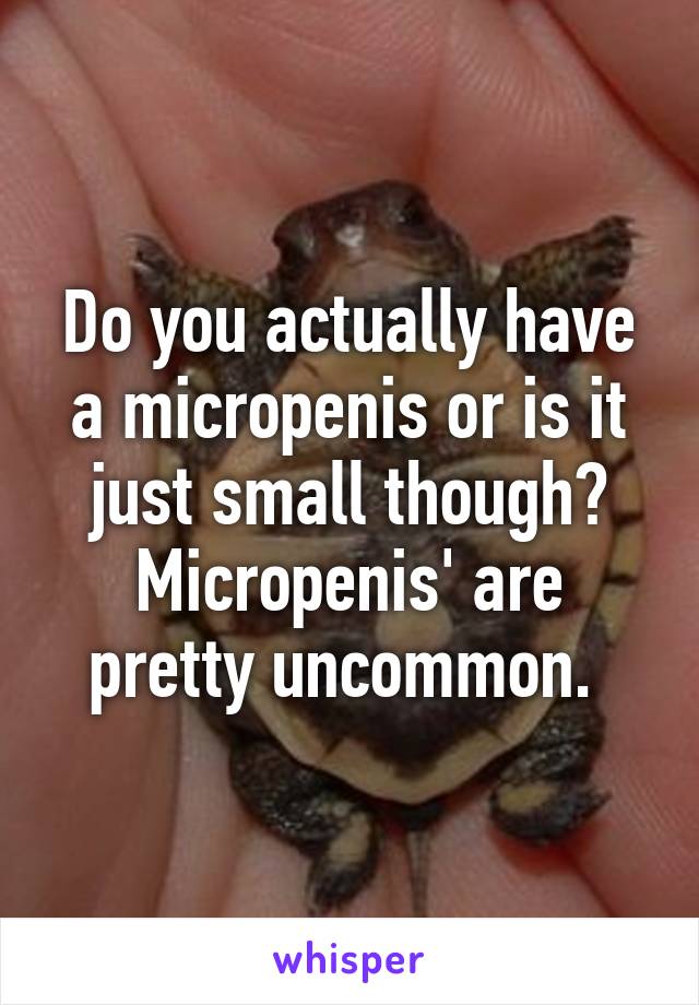 Do you actually have a micropenis or is it just small though? Micropenis' are pretty uncommon. 