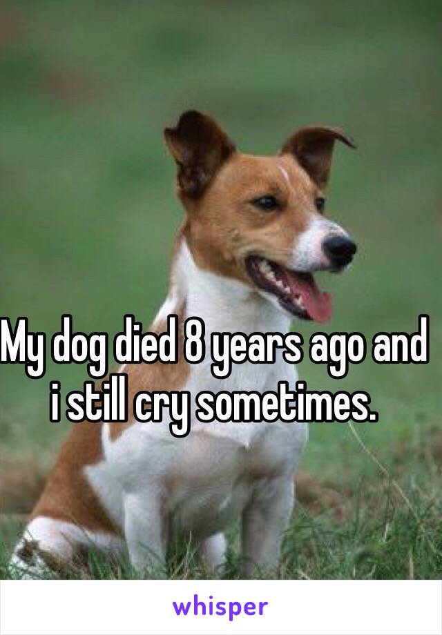 My dog died 8 years ago and i still cry sometimes.