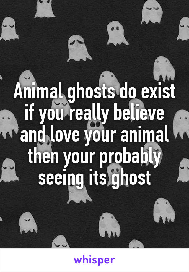Animal ghosts do exist if you really believe and love your animal then your probably seeing its ghost