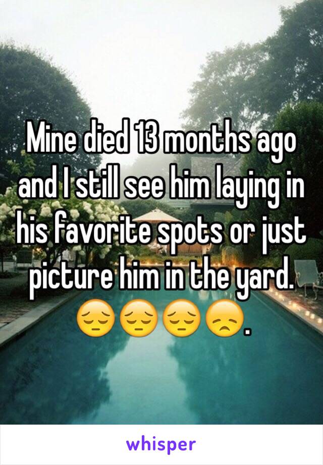 Mine died 13 months ago and I still see him laying in his favorite spots or just picture him in the yard. 😔😔😔😞.