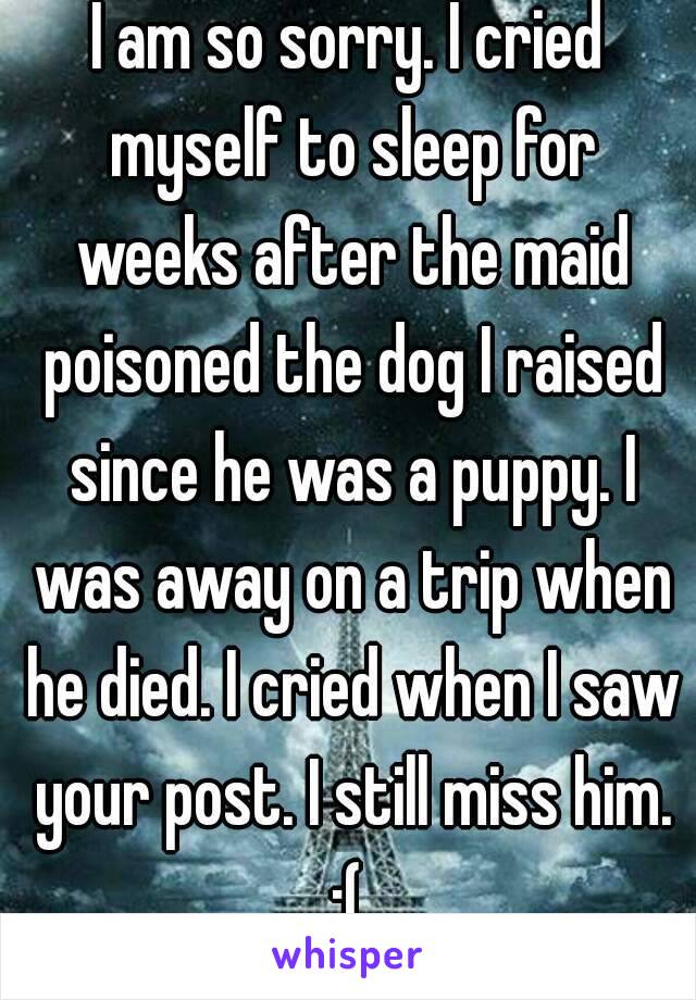 I am so sorry. I cried myself to sleep for weeks after the maid poisoned the dog I raised since he was a puppy. I was away on a trip when he died. I cried when I saw your post. I still miss him. :( 