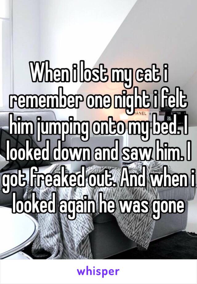 When i lost my cat i remember one night i felt him jumping onto my bed. I looked down and saw him. I got freaked out. And when i looked again he was gone