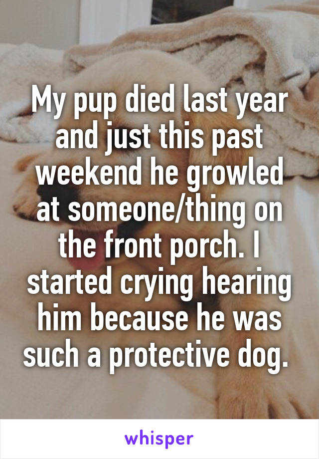 My pup died last year and just this past weekend he growled at someone/thing on the front porch. I started crying hearing him because he was such a protective dog. 