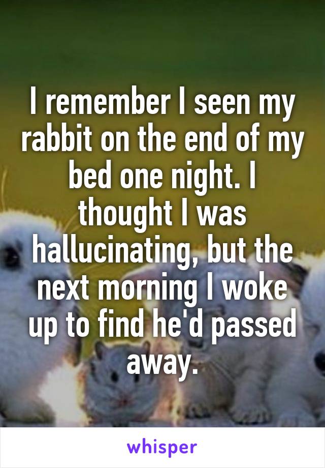 I remember I seen my rabbit on the end of my bed one night. I thought I was hallucinating, but the next morning I woke up to find he'd passed away.