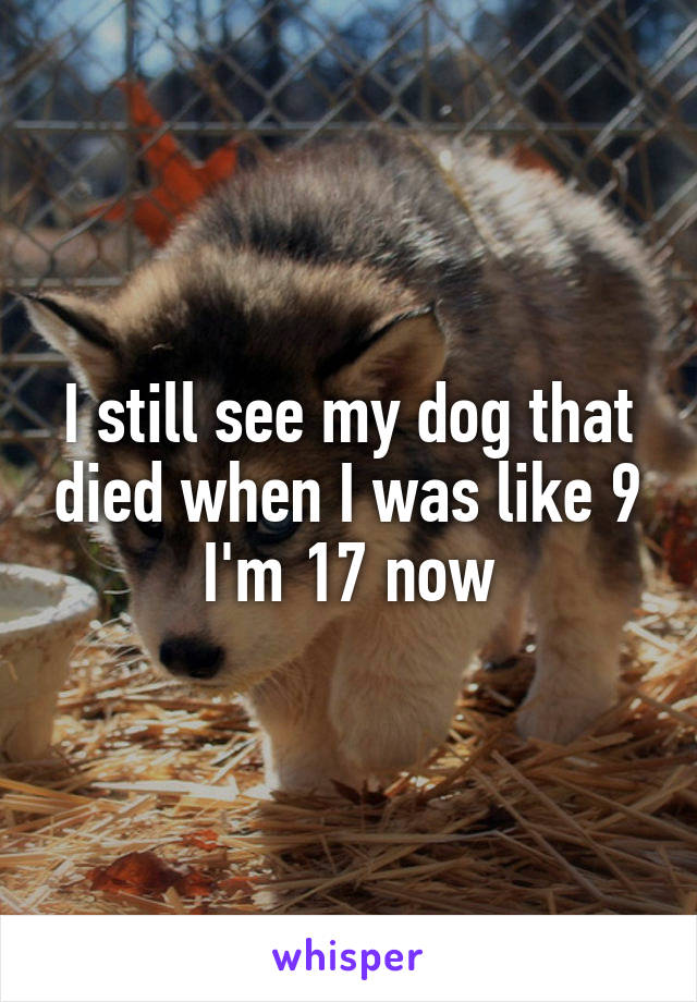 I still see my dog that died when I was like 9
I'm 17 now