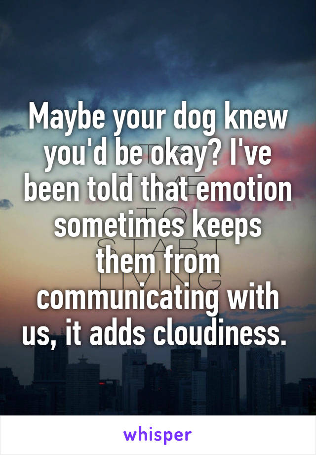 Maybe your dog knew you'd be okay? I've been told that emotion sometimes keeps them from communicating with us, it adds cloudiness. 