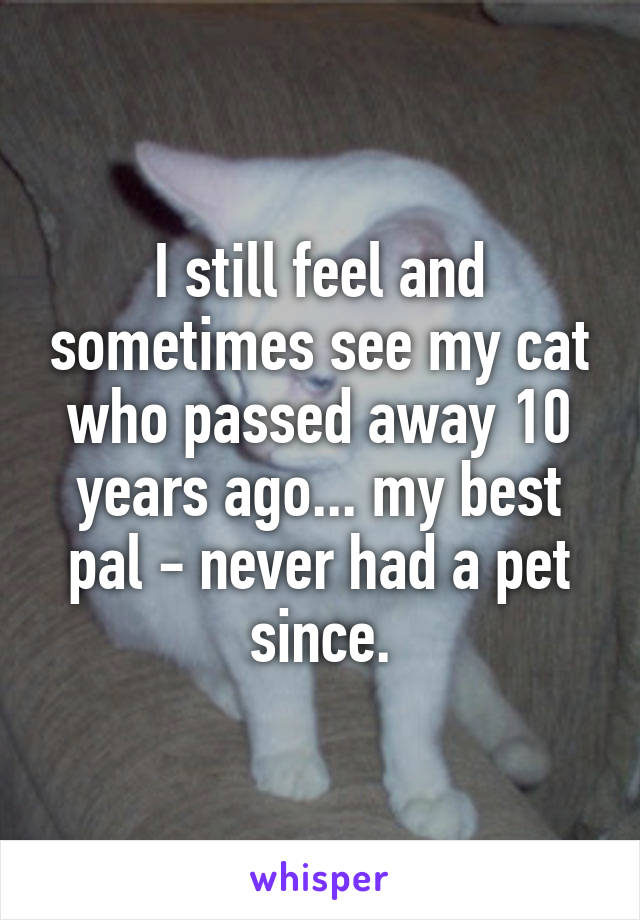I still feel and sometimes see my cat who passed away 10 years ago... my best pal - never had a pet since.