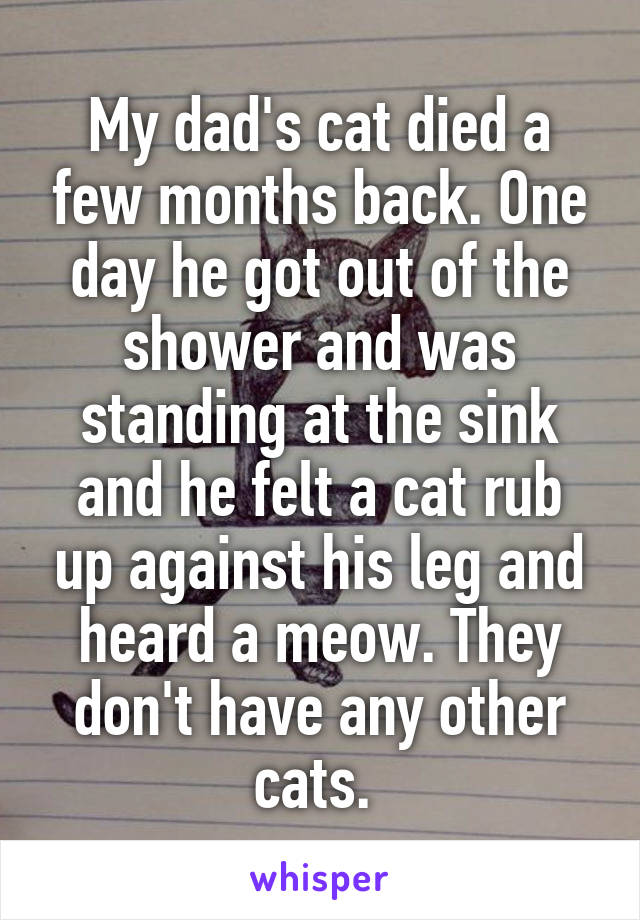 My dad's cat died a few months back. One day he got out of the shower and was standing at the sink and he felt a cat rub up against his leg and heard a meow. They don't have any other cats. 