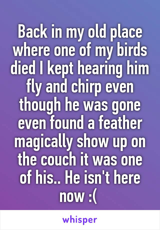 Back in my old place where one of my birds died I kept hearing him fly and chirp even though he was gone even found a feather magically show up on the couch it was one of his.. He isn't here now :( 