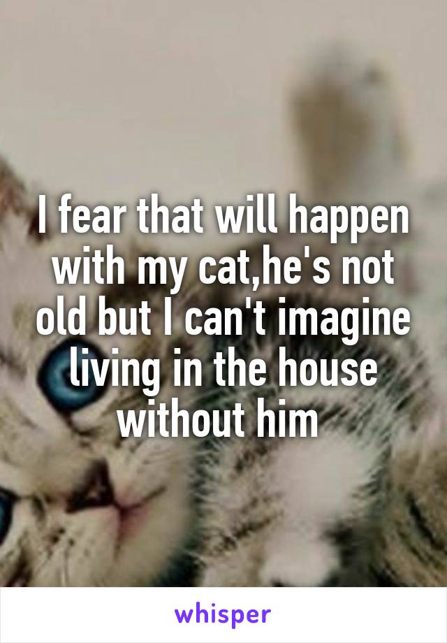 I fear that will happen with my cat,he's not old but I can't imagine living in the house without him 