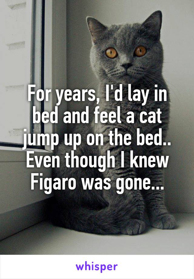 For years, I'd lay in bed and feel a cat jump up on the bed.. Even though I knew Figaro was gone...