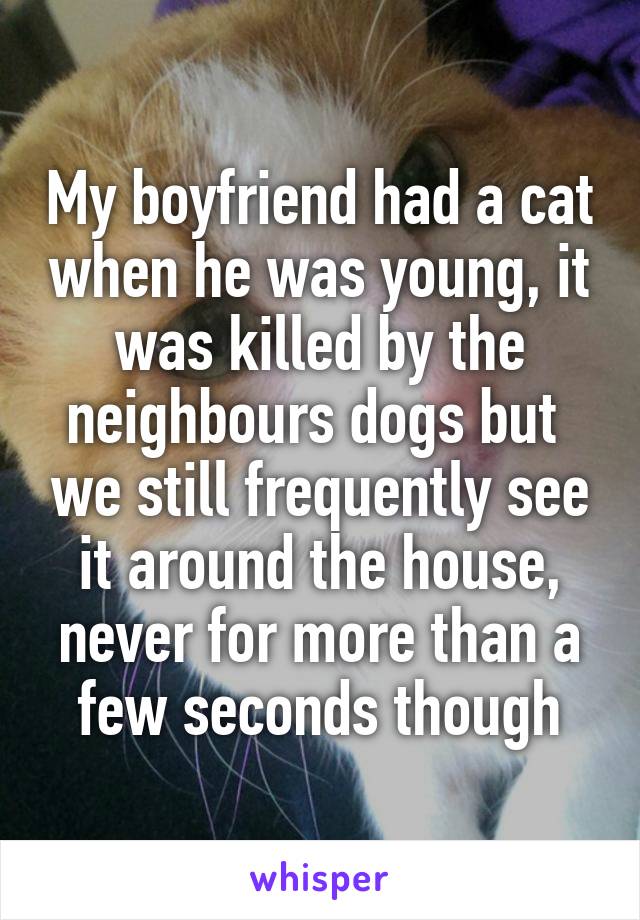 My boyfriend had a cat when he was young, it was killed by the neighbours dogs but  we still frequently see it around the house, never for more than a few seconds though
