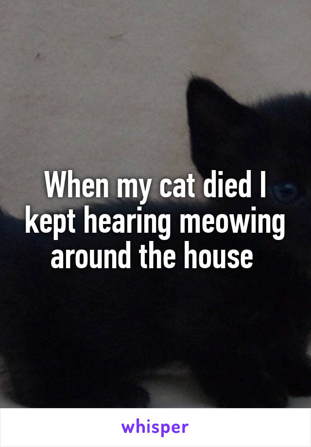 When my cat died I kept hearing meowing around the house 