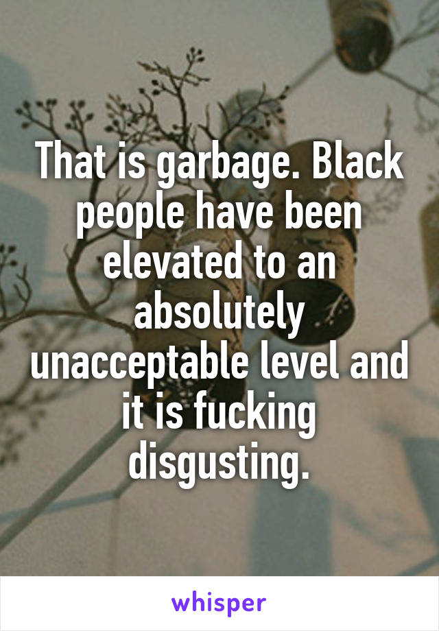 That is garbage. Black people have been elevated to an absolutely unacceptable level and it is fucking disgusting.