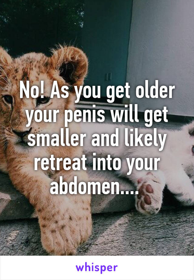 No! As you get older your penis will get smaller and likely retreat into your abdomen.... 