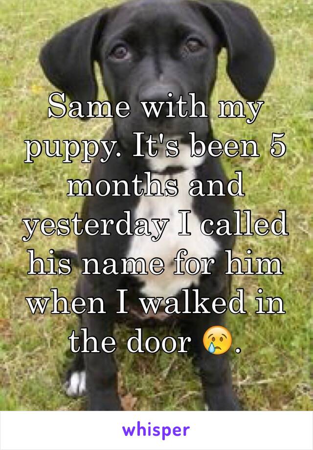 Same with my puppy. It's been 5 months and yesterday I called his name for him when I walked in the door 😢. 
