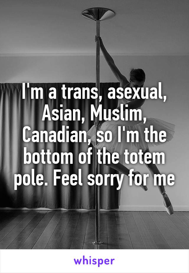 I'm a trans, asexual, Asian, Muslim, Canadian, so I'm the bottom of the totem pole. Feel sorry for me