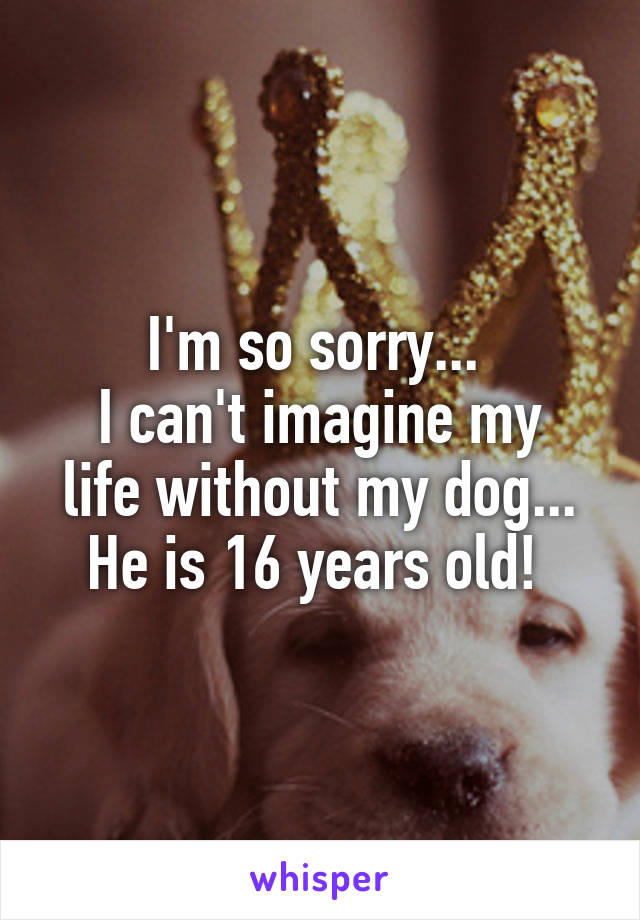 I'm so sorry... 
I can't imagine my life without my dog...
He is 16 years old! 