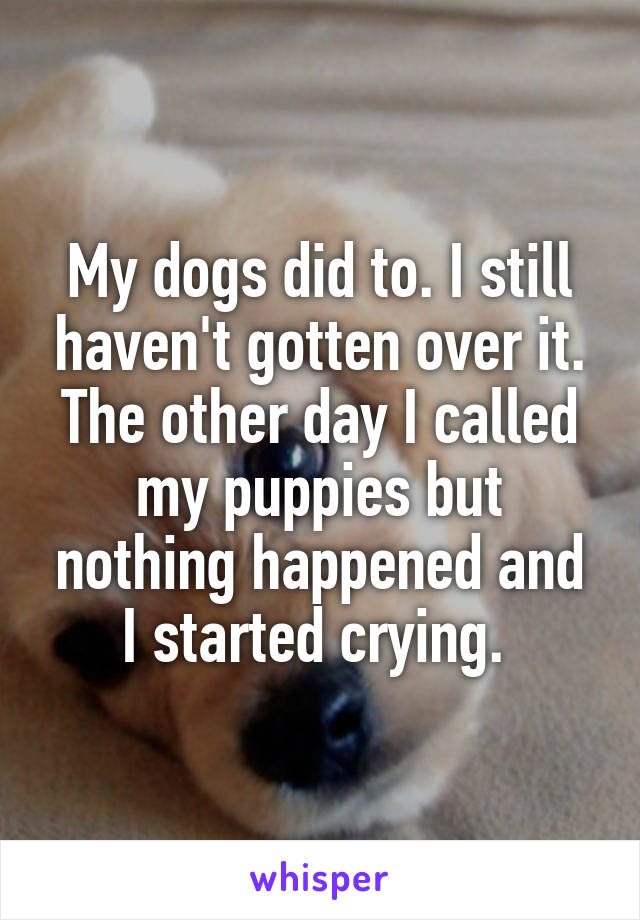 My dogs did to. I still haven't gotten over it. The other day I called my puppies but nothing happened and I started crying. 