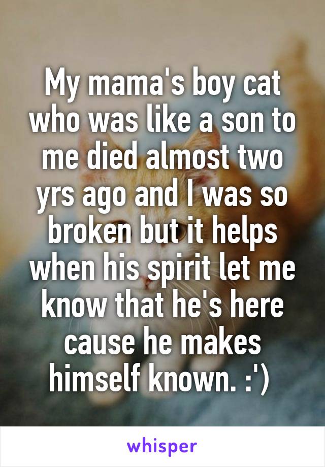 My mama's boy cat who was like a son to me died almost two yrs ago and I was so broken but it helps when his spirit let me know that he's here cause he makes himself known. :') 