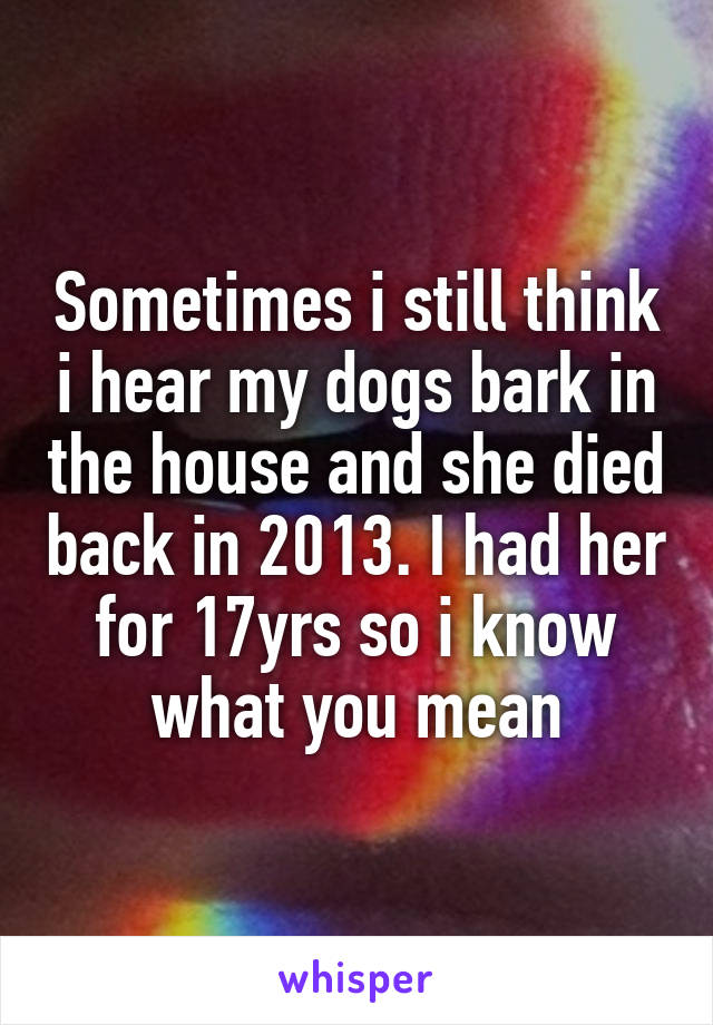 Sometimes i still think i hear my dogs bark in the house and she died back in 2013. I had her for 17yrs so i know what you mean