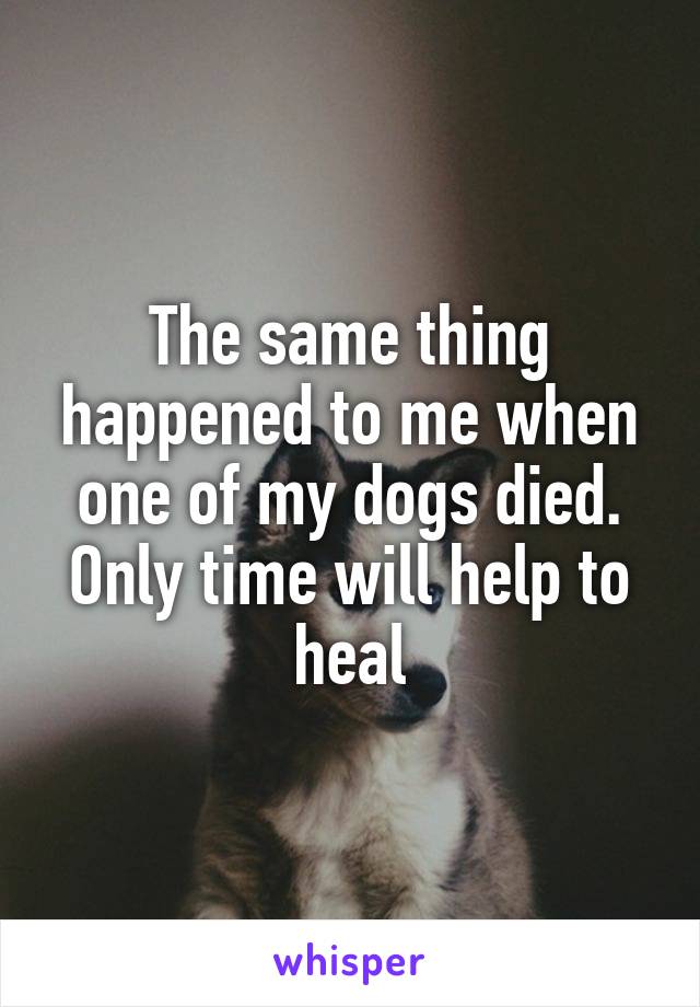 The same thing happened to me when one of my dogs died. Only time will help to heal
