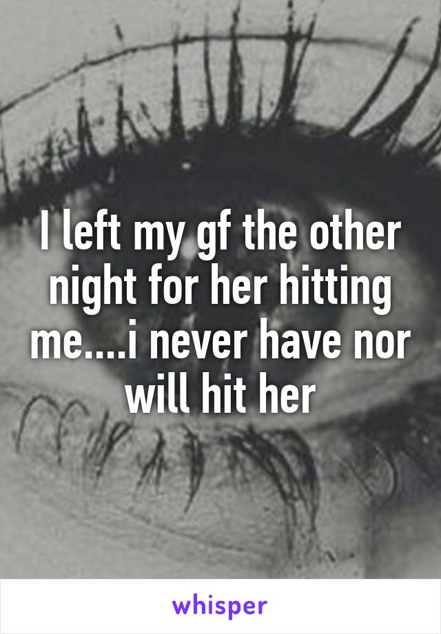 I left my gf the other night for her hitting me....i never have nor will hit her