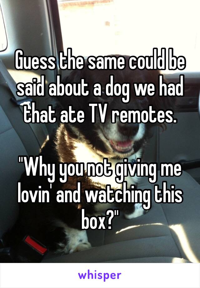 Guess the same could be said about a dog we had that ate TV remotes. 

"Why you not giving me lovin' and watching this box?"