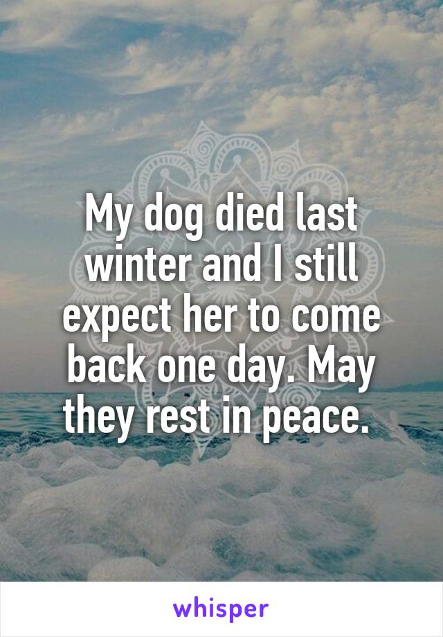 My dog died last winter and I still expect her to come back one day. May they rest in peace. 