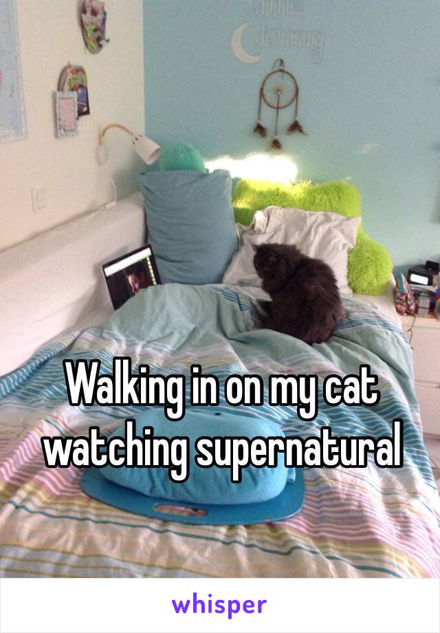 Walking in on my cat watching supernatural 