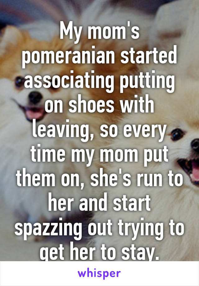 My mom's pomeranian started associating putting on shoes with leaving, so every time my mom put them on, she's run to her and start spazzing out trying to get her to stay.