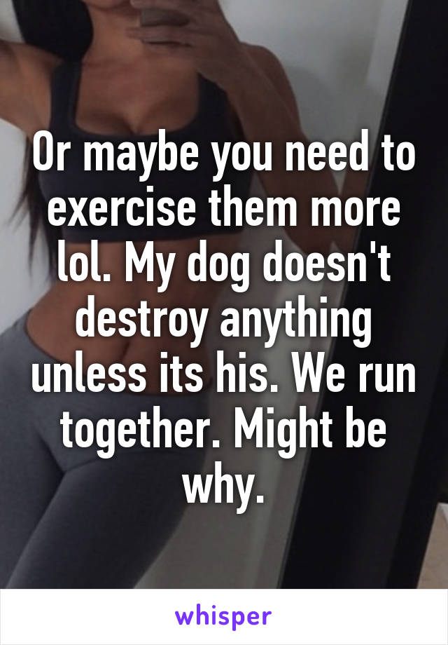 Or maybe you need to exercise them more lol. My dog doesn't destroy anything unless its his. We run together. Might be why.
