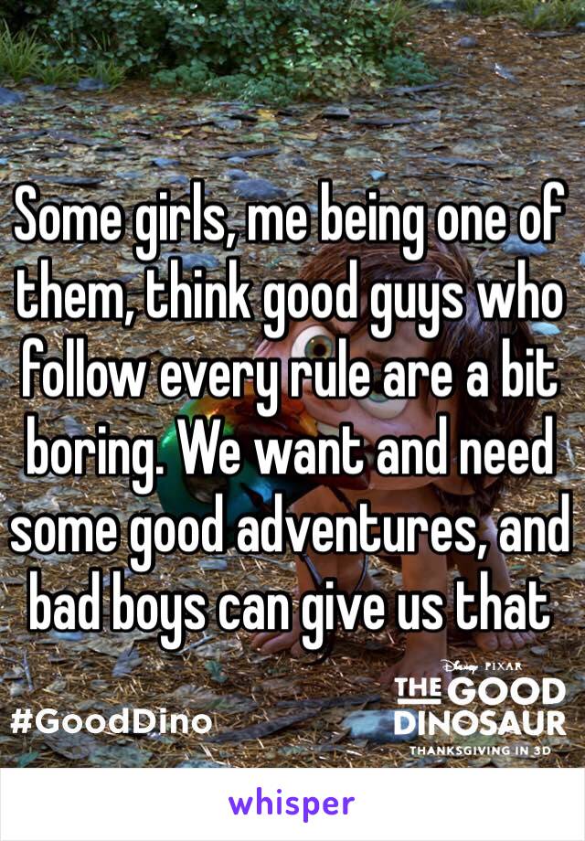 Some girls, me being one of them, think good guys who follow every rule are a bit boring. We want and need some good adventures, and bad boys can give us that