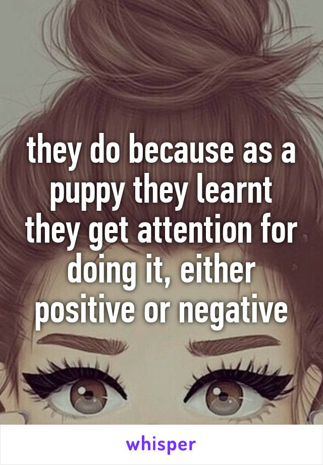 they do because as a puppy they learnt they get attention for doing it, either positive or negative