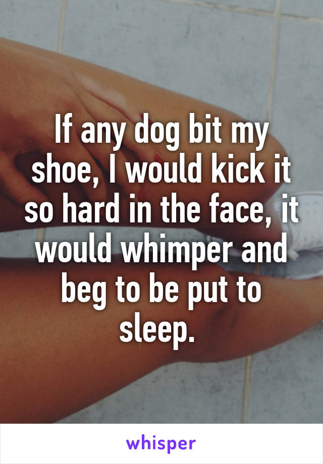 If any dog bit my shoe, I would kick it so hard in the face, it would whimper and beg to be put to sleep. 