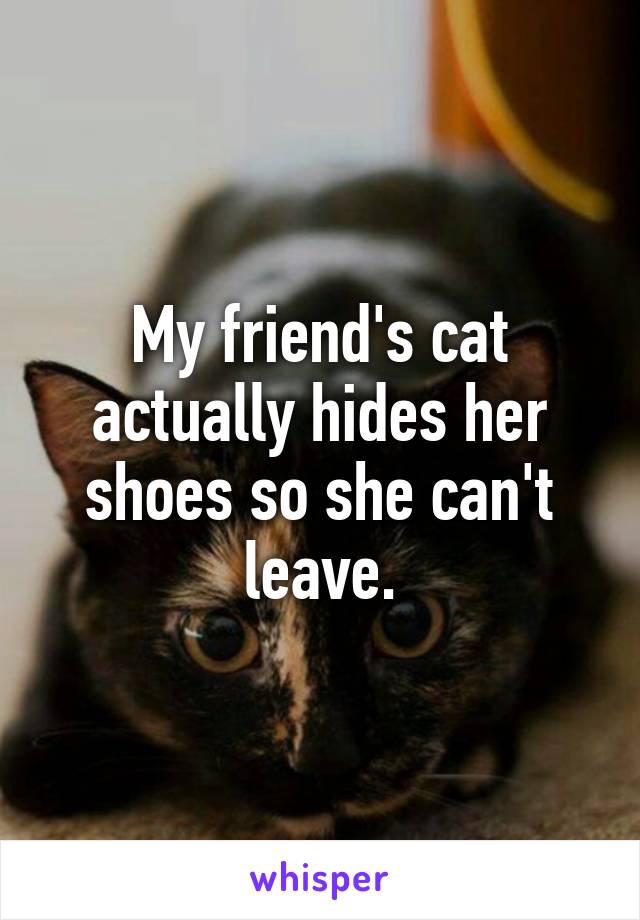 My friend's cat actually hides her shoes so she can't leave.